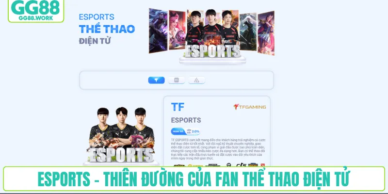 Esports - Thiên đường của fan thể thao điện tử tại nhà cái RR88